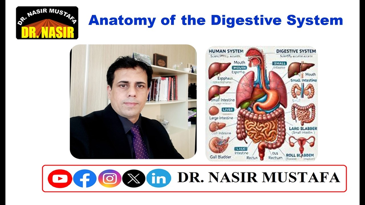 📚 Anatomy of the Digestive System | Complete Lecture for Medical & Health Science Students