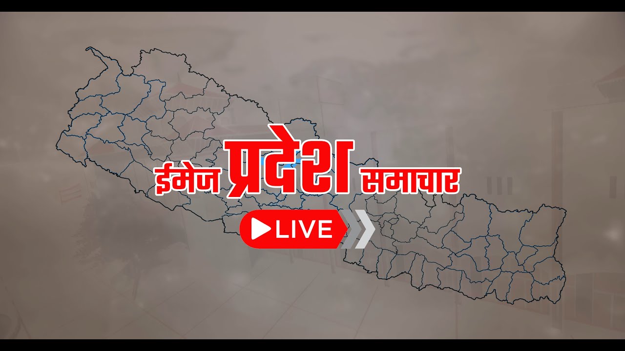 साँझ ६ बजेको प्रदेश समाचार , माघ २५,  गते २०८२   6 PM Pradesh News,February 08,2026