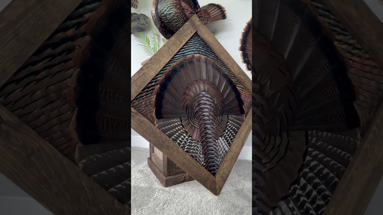 Turkey Feather Art Eastern Edition #FeatherArt