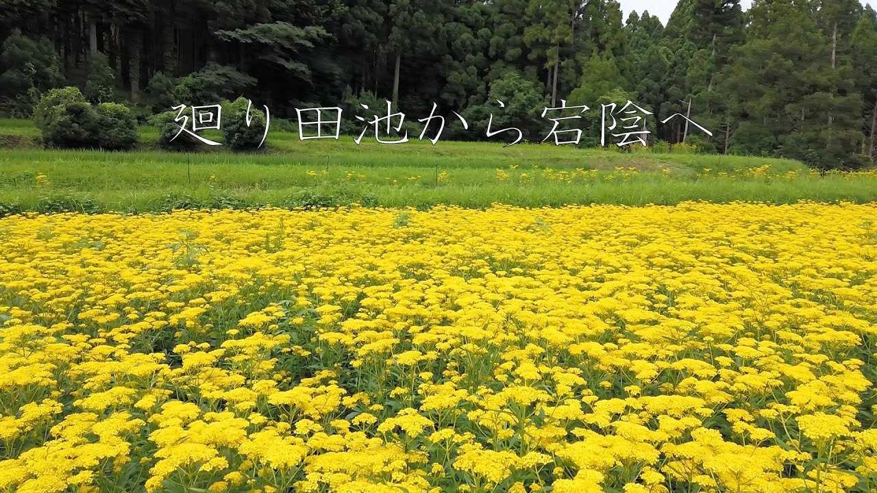 廻り田池から宕陰へ　～神社と棚田めぐり～