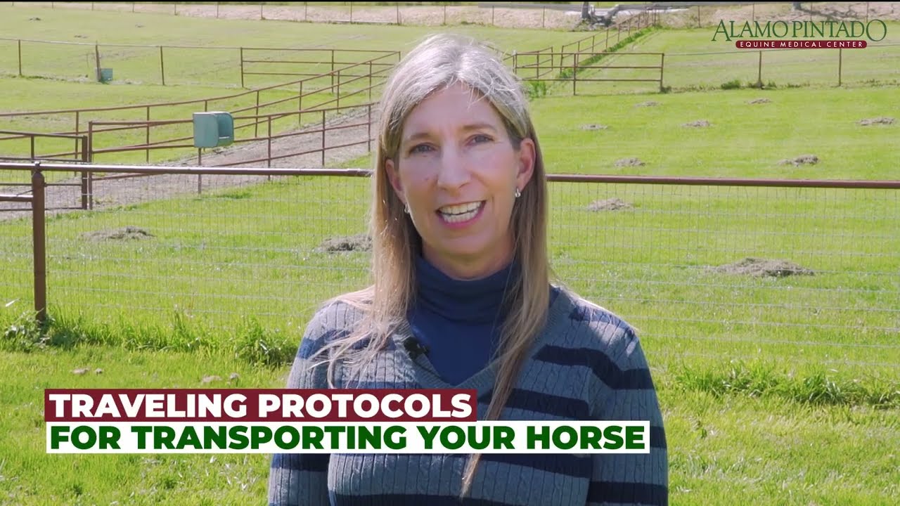 Tips for Legally Transporting Your Horse.