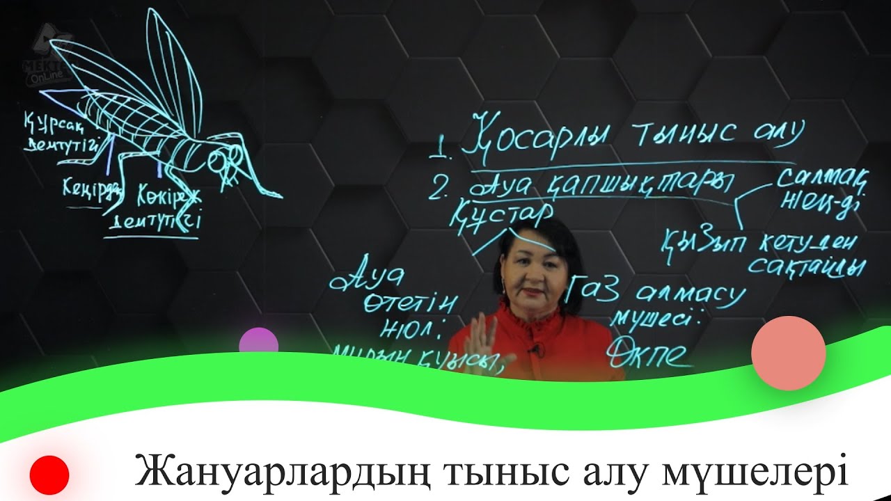 Жануарлардың тыныс алу мүшелері. 7 сынып.