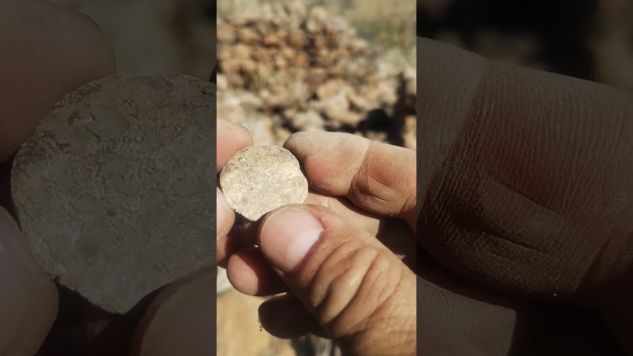 Bueno pues salí un escudo del año aver    k  chulada de monedonen la sierra 😜