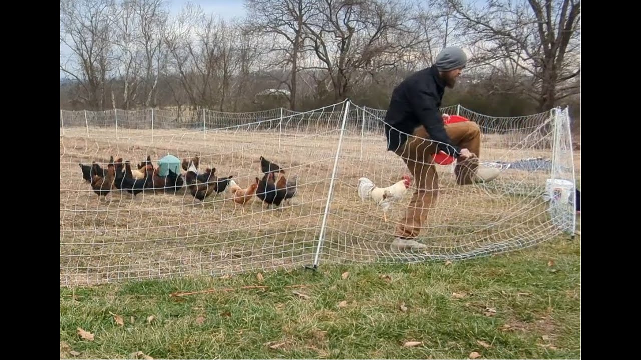 Chickens Fed, Tractor Dead… That’s Farm Life