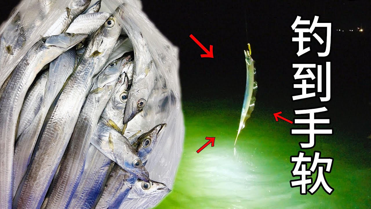 【夜钓带鱼】真饵假饵，通宵狂拔！钓到手软！