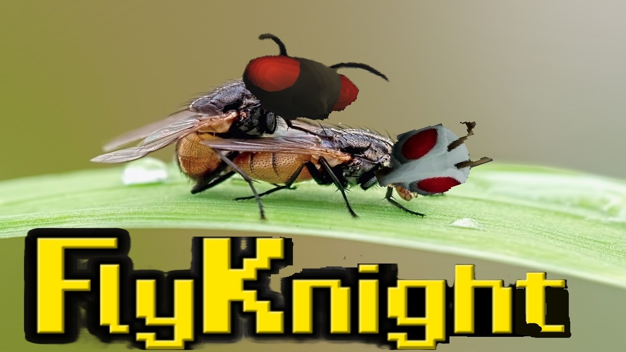 FlyKnight is my favorite game about fly's