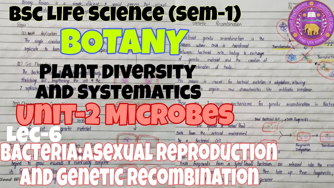 Bacteria:Asexual reproduction and genetic recombination