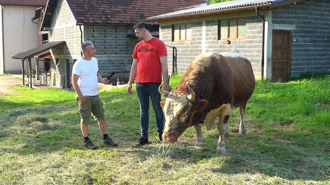 KO JE MLADI JOZUN IZ BUSOVAČE KOJI PRAVI NAJPOSJEĆENIJE KORIDE U BOSNI