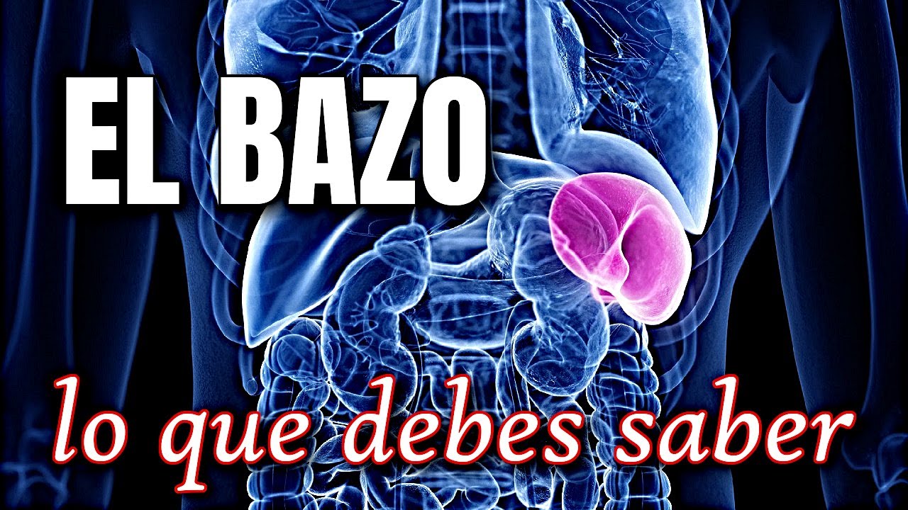 El Bazo: lo que debes saber