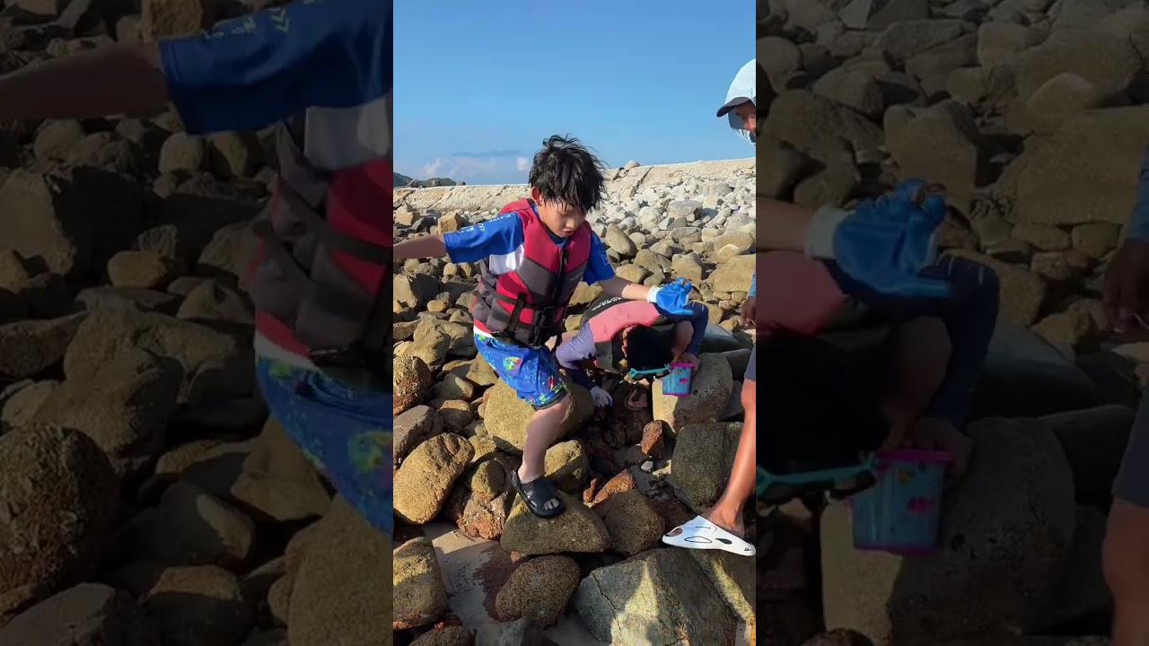 Xiaoyi And His Family Are Here To Catch Seafood #funny #funnyvideo #cute #comedy #vlog