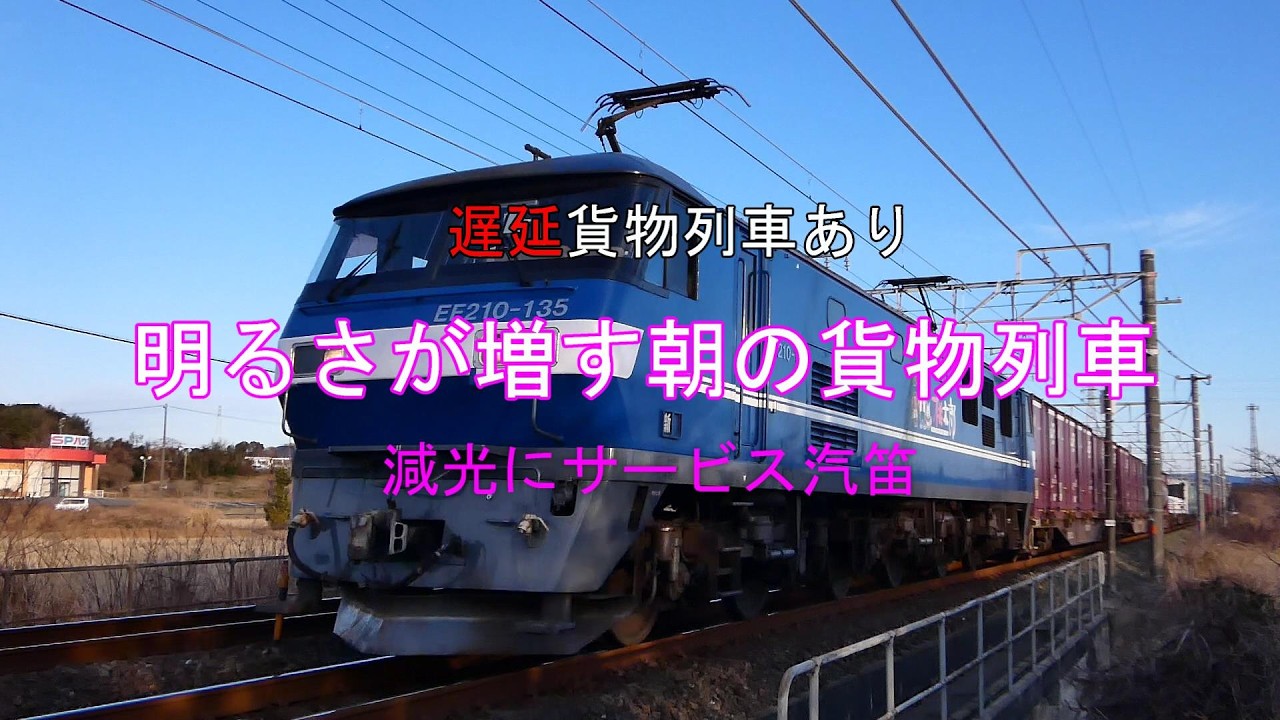 JR貨物 2026/02/20 だいぶ明るくなった朝の貨物列車 遅延深夜便あり 今日も減光にサービス汽笛