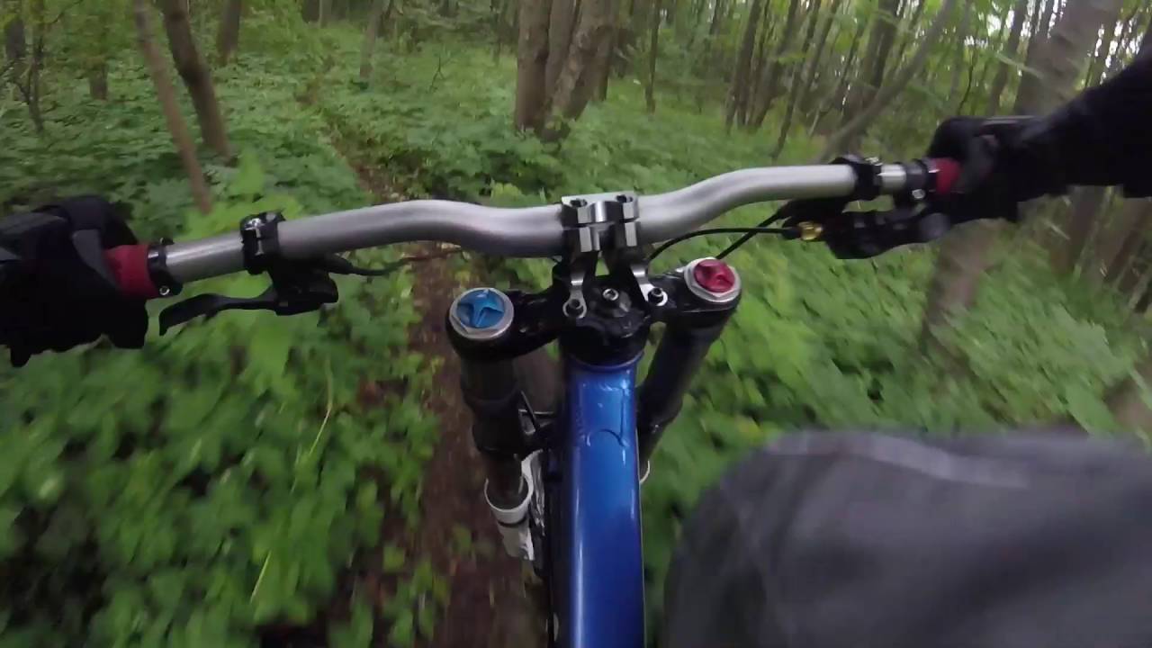 Ettersberg Downhill