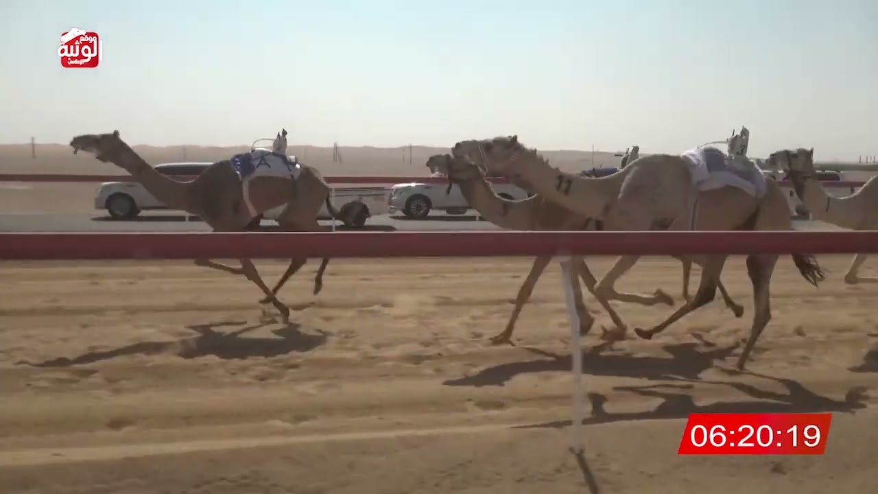 ش 4 (برقان) لـ حارب محمد بن غنام الهاملي 9:32 ، شارة الديوان 2026/2/21 ثنايا الروضة