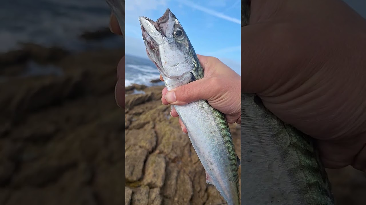 Fishing is cool