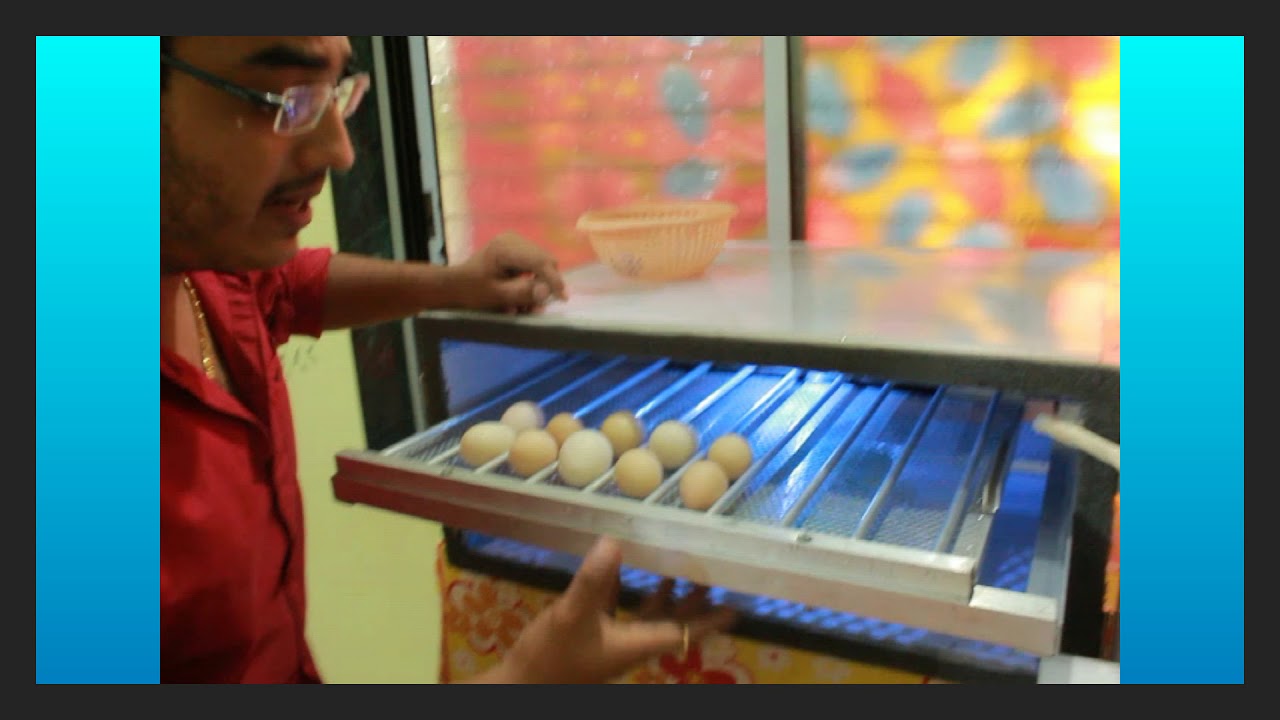 SM egg incubators