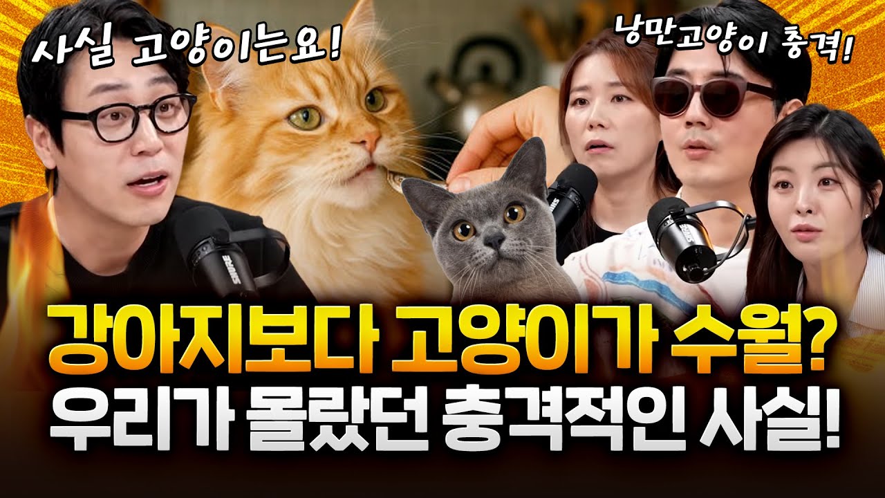 고양이는 산책이 필요하지 않습니다! '산책'하려면 강아지를 키우세요!