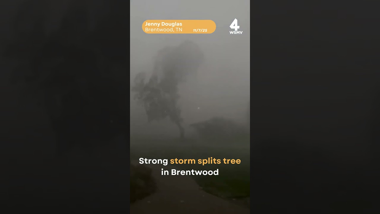 Storm splits tree in Brentwood