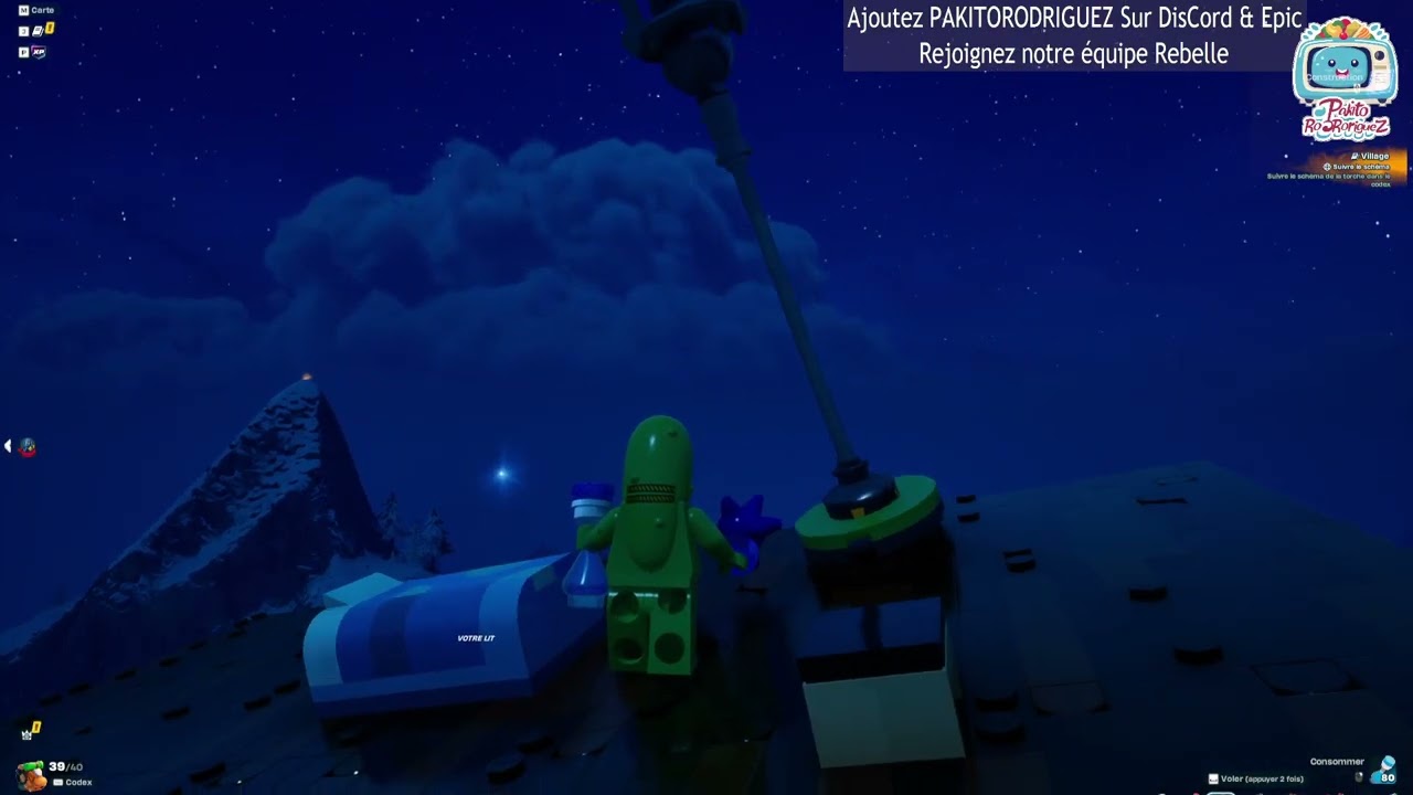 LEGO ou FortNite ou CS EXPERT ou Pas seul Edward Reverbère et Henri Quartier Brick'son nous le dira