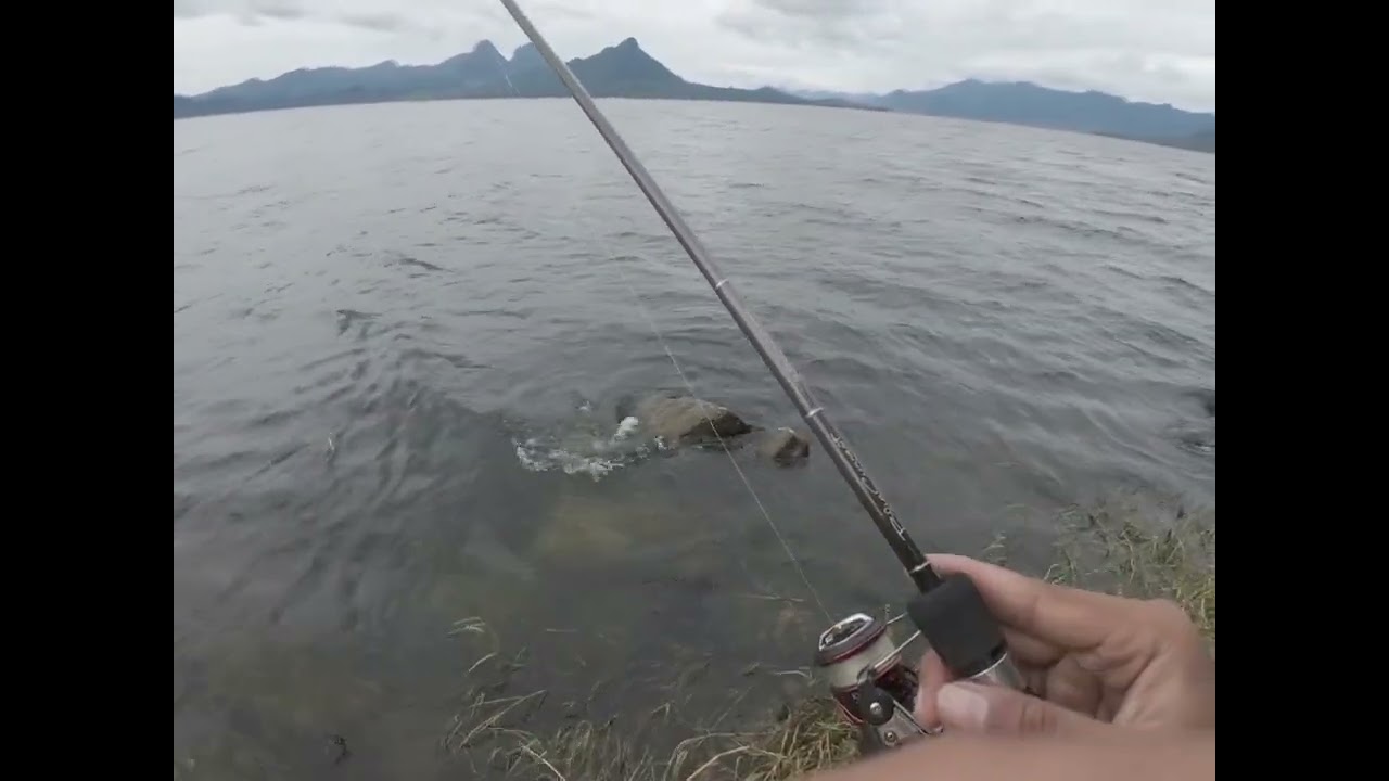 Casting peabass di jatiluhur ikan tidak ada habisnya, 