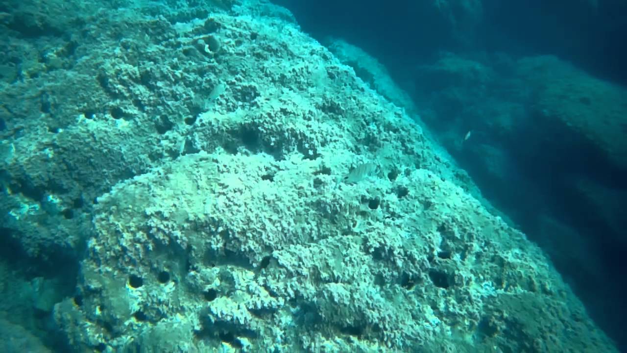 Arrecife de las Sirenas (Cabo de Gata), fondos marinos