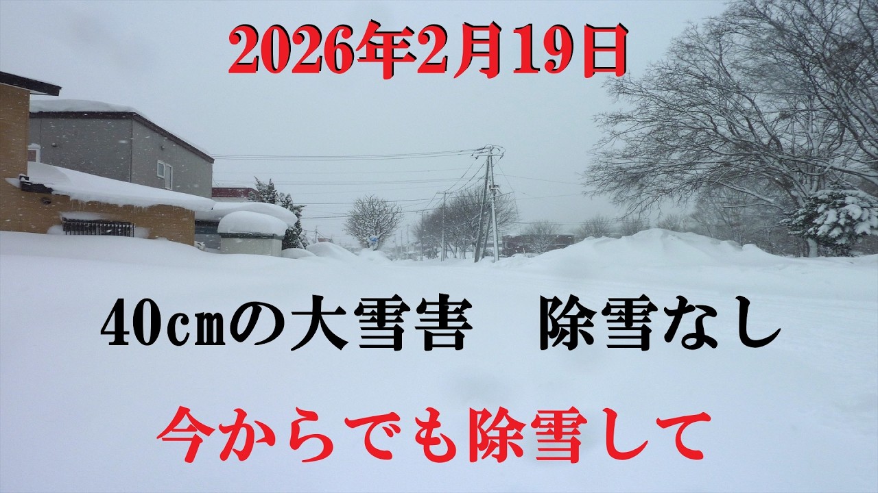 【札幌除雪】40cmの大雪害でも除雪無し　(怒り)