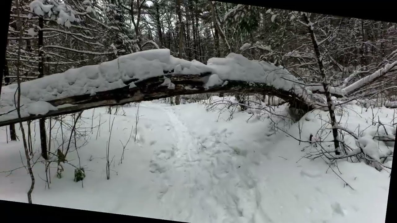Ice Age Trail - Ripley Creek - January