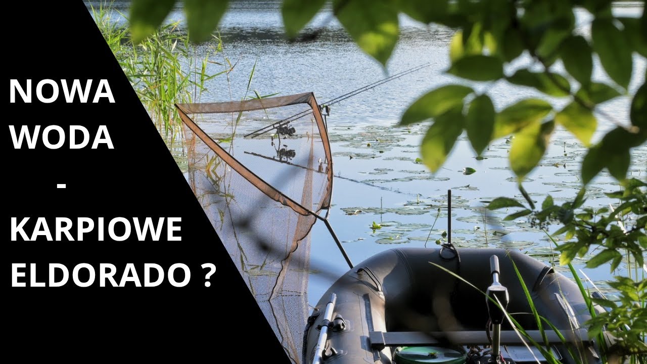 NOWA WODA - KARPIOWE ELDORADO ?