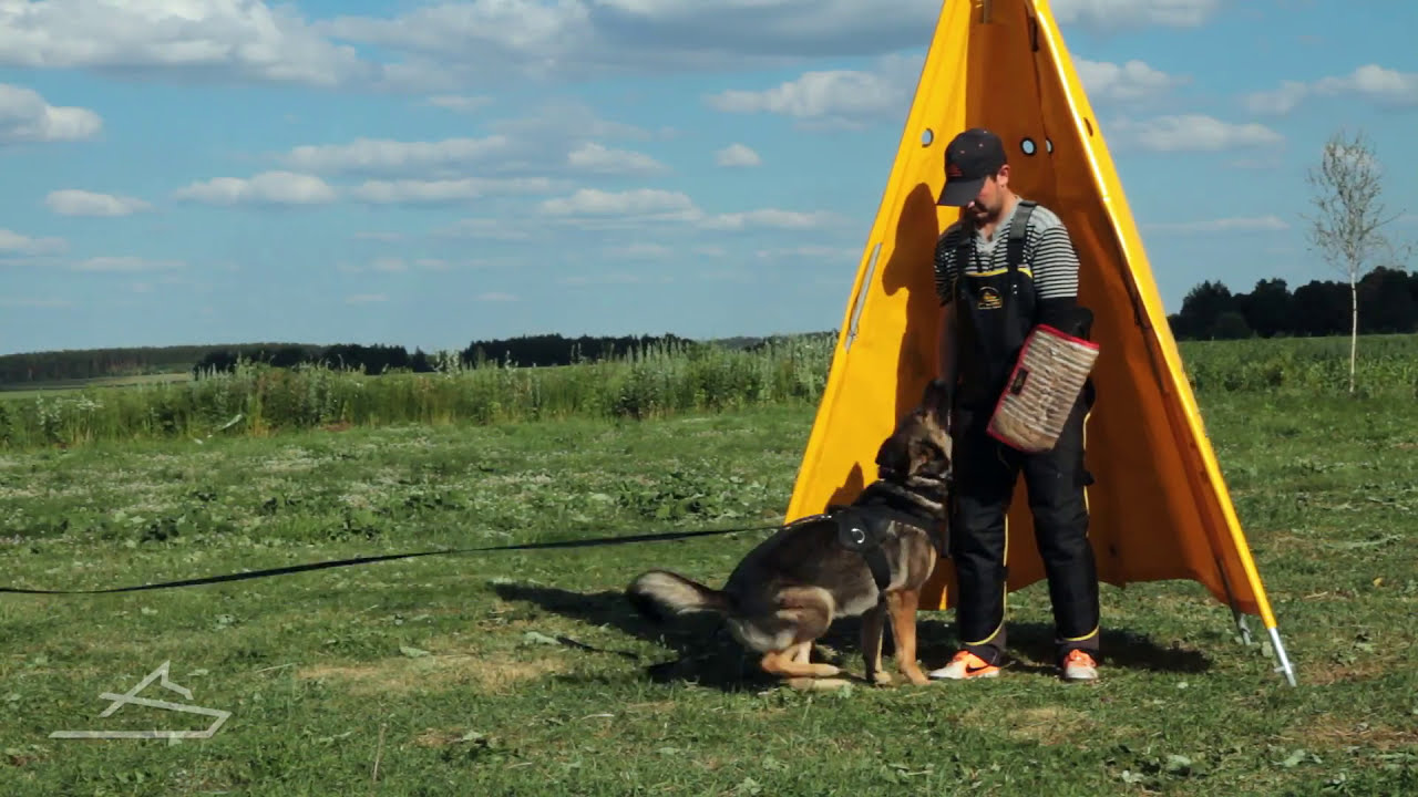 Dog gear guide. 2 in 1 (bite wedge+sleeve) review from professional dog trainer