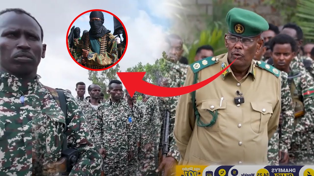 Taliska Ciidanka Asluubta  ayaa sagootiyay ciidan ku wajahan furimaha dagaalka.