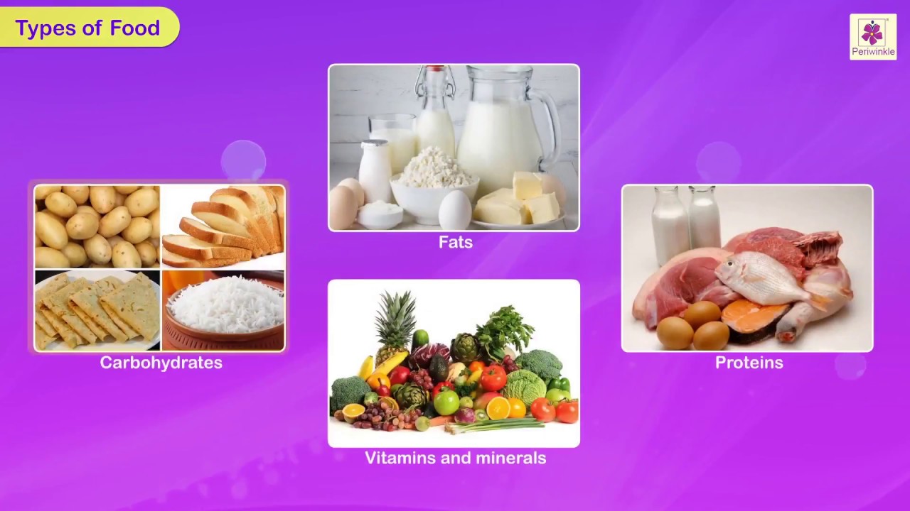 Healthy Foods | Science for Kids | Grade 3 | Periwinkle
