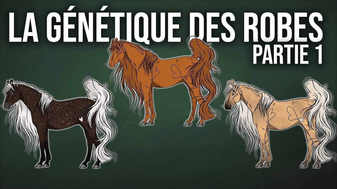 LA GÉNÉTIQUE DES ROBES - Partie 1/3
