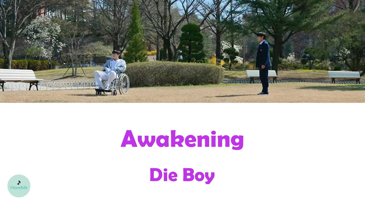 Die Boy - Awakening (Weak Hero OST || 약한영웅)