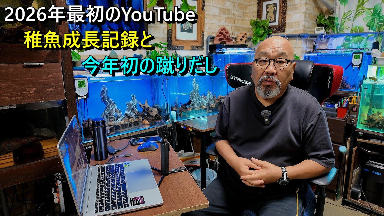 2026年最初のYouTube 、稚魚の成長と2026年最初の蹴りだし映像