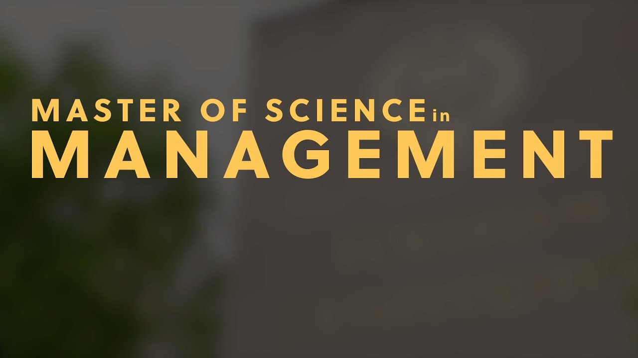 MS in Management