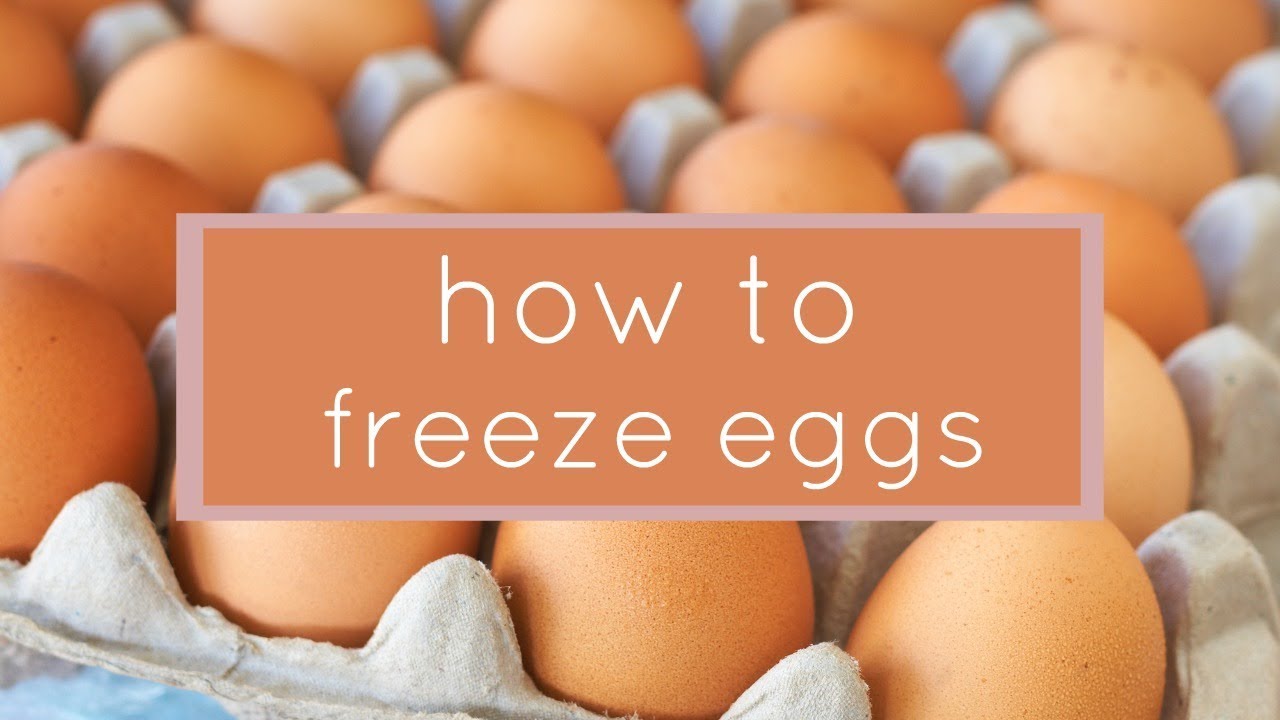 How to Freeze Eggs