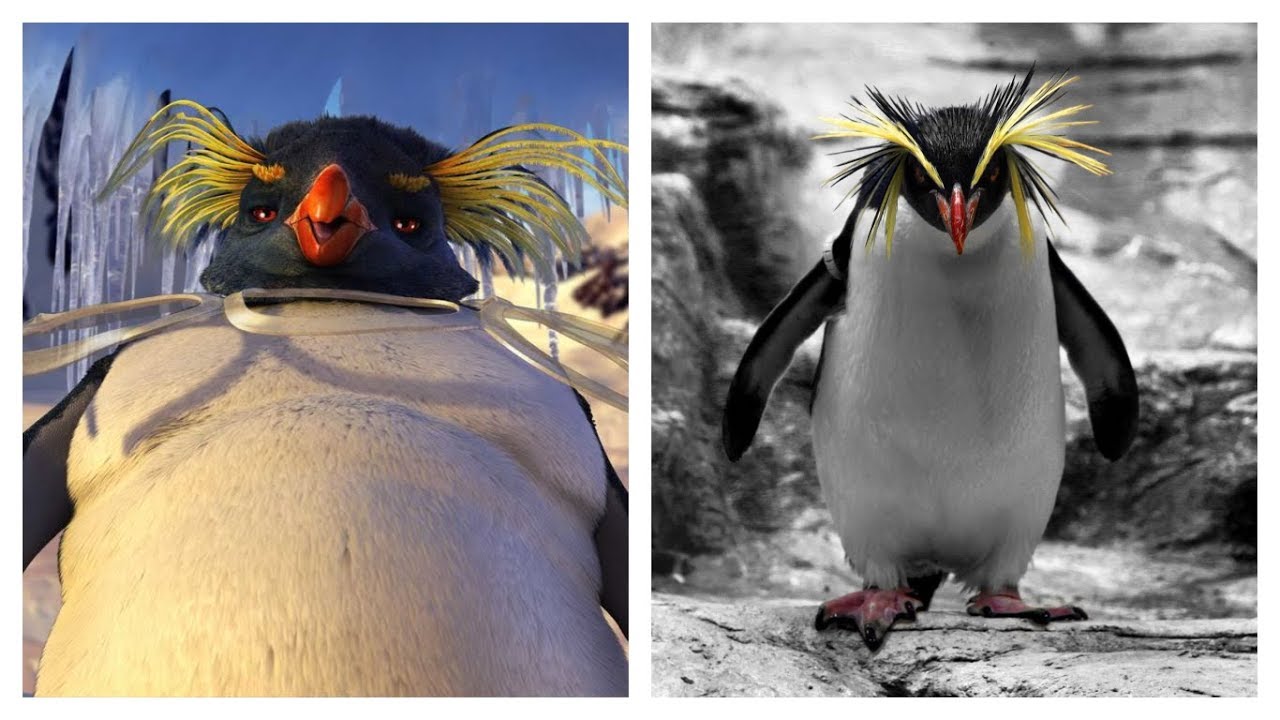 'Happy Feet Two' Characters in Real Life