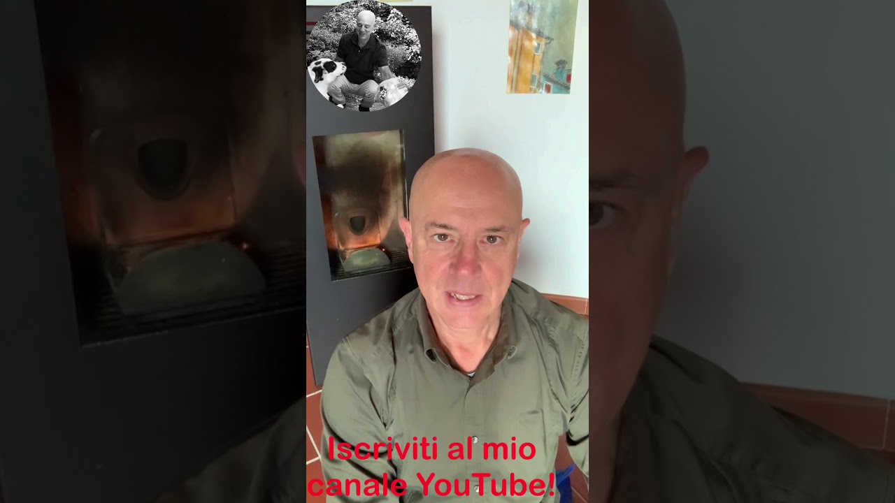Pillole legali per cinofili: 7- &egrave; obbligatoria l&rsquo;assicurazione per il cane?