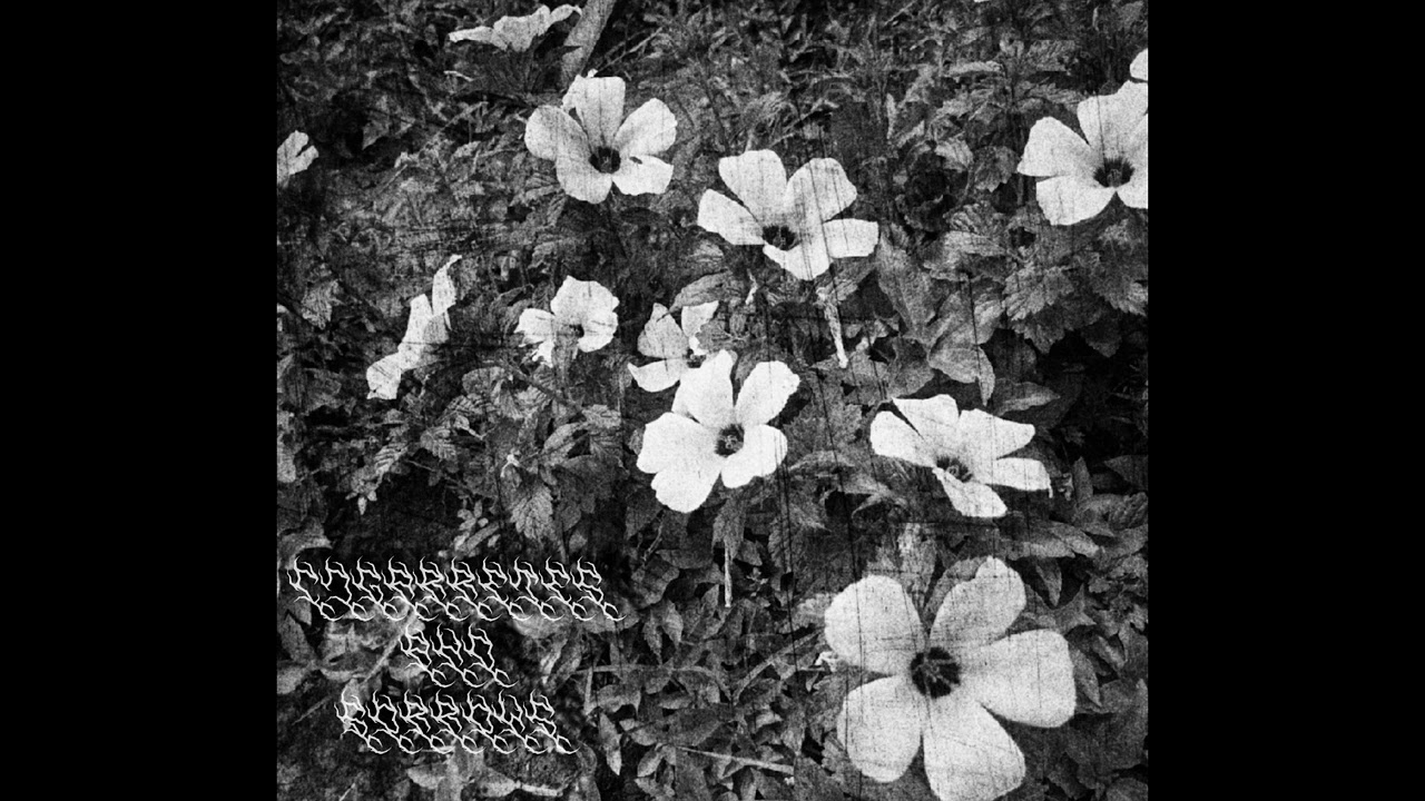 Cigarretes and sorrows - untitled (DSBM)