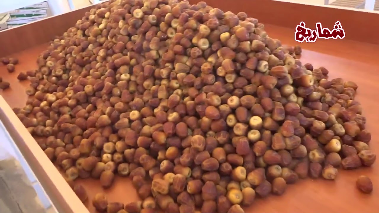 سوق التمور في رياض الخبراء   الجمعة 28 /  11/  1439هـ