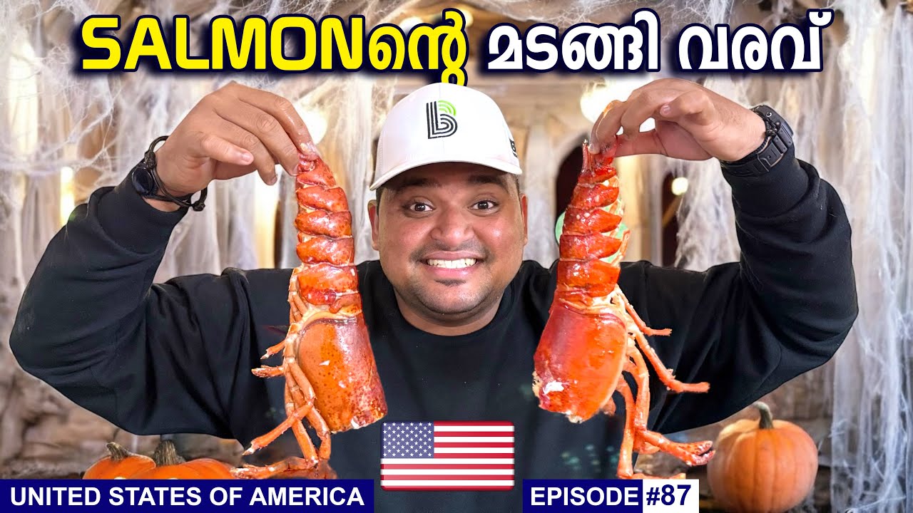 USA#87🇺🇸 SALMONന്റെ മടങ്ങി വരവ് 😳 SEATTLE | AMERICA 🇺🇸🔥