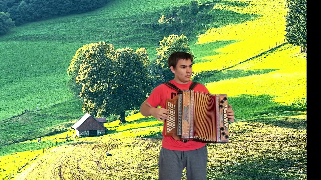 Lustig ist das Zigeunerleben - Joshua Humer (Steirische Harmonika)