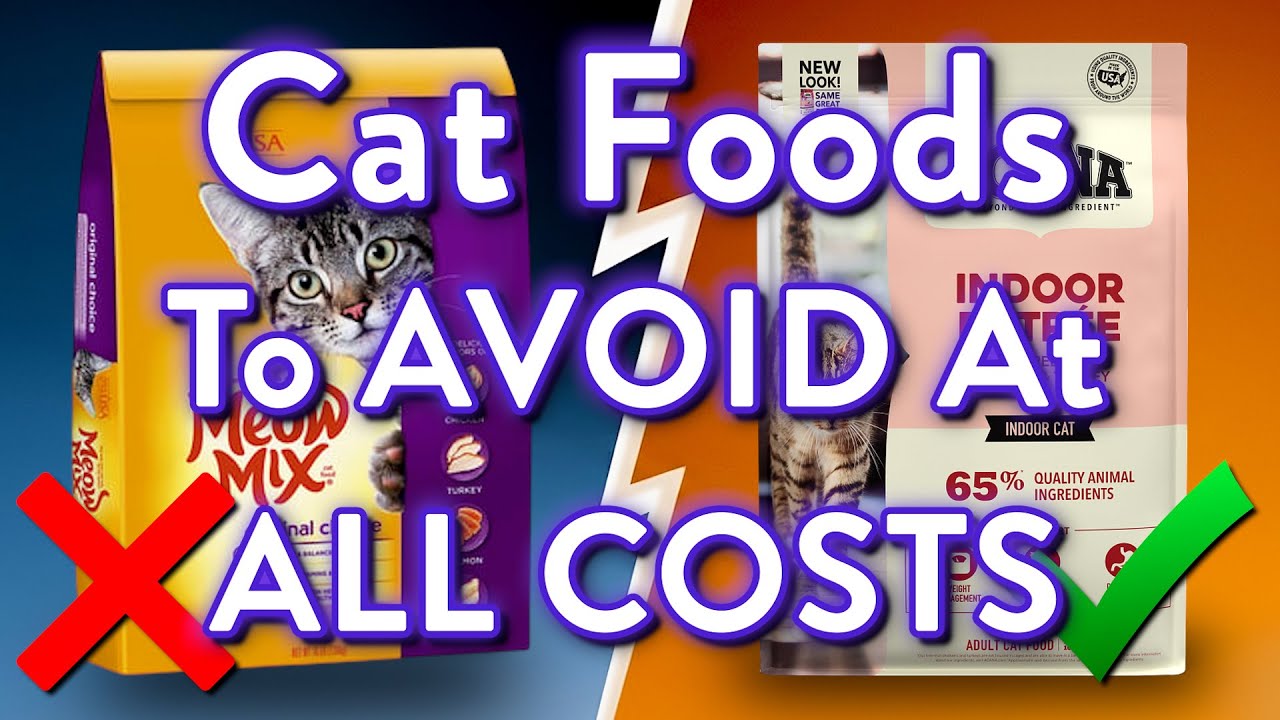 9 Cat Foods To AVOID (And The 2 That Are Worth It)
