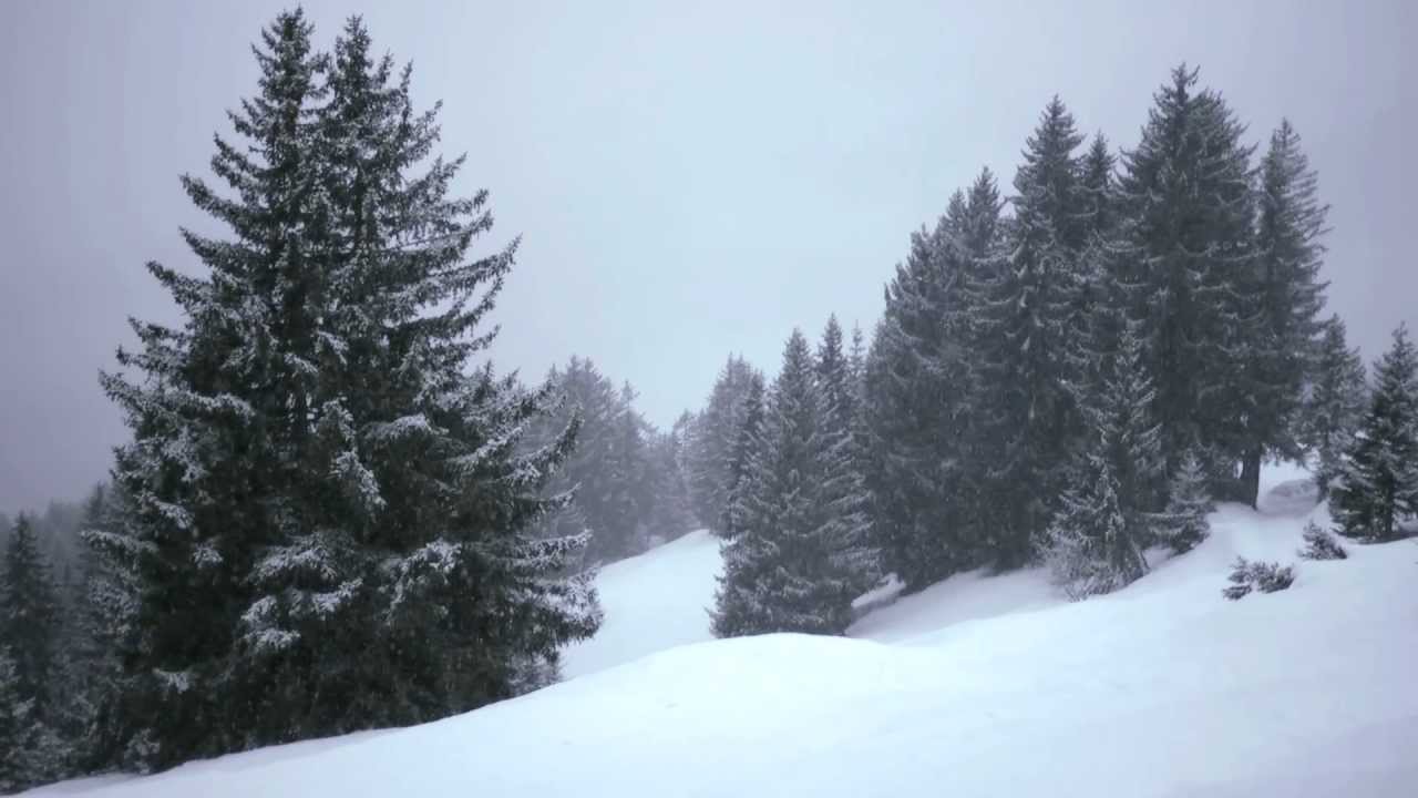 Daniel Versteegh - Longest Winter (Official Clip)
