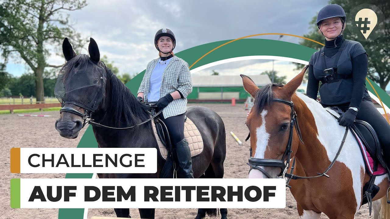Reiterferien: Test & Challenge mit Bestrafung | Doku | #hinREISEND
