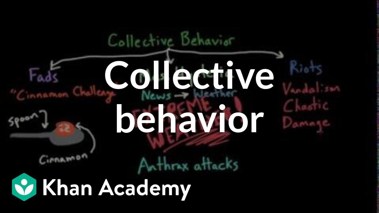 Aspects of Collective Behavior: Fads, Mass Hysteria, and Riots | Behavior | MCAT | Khan Academy