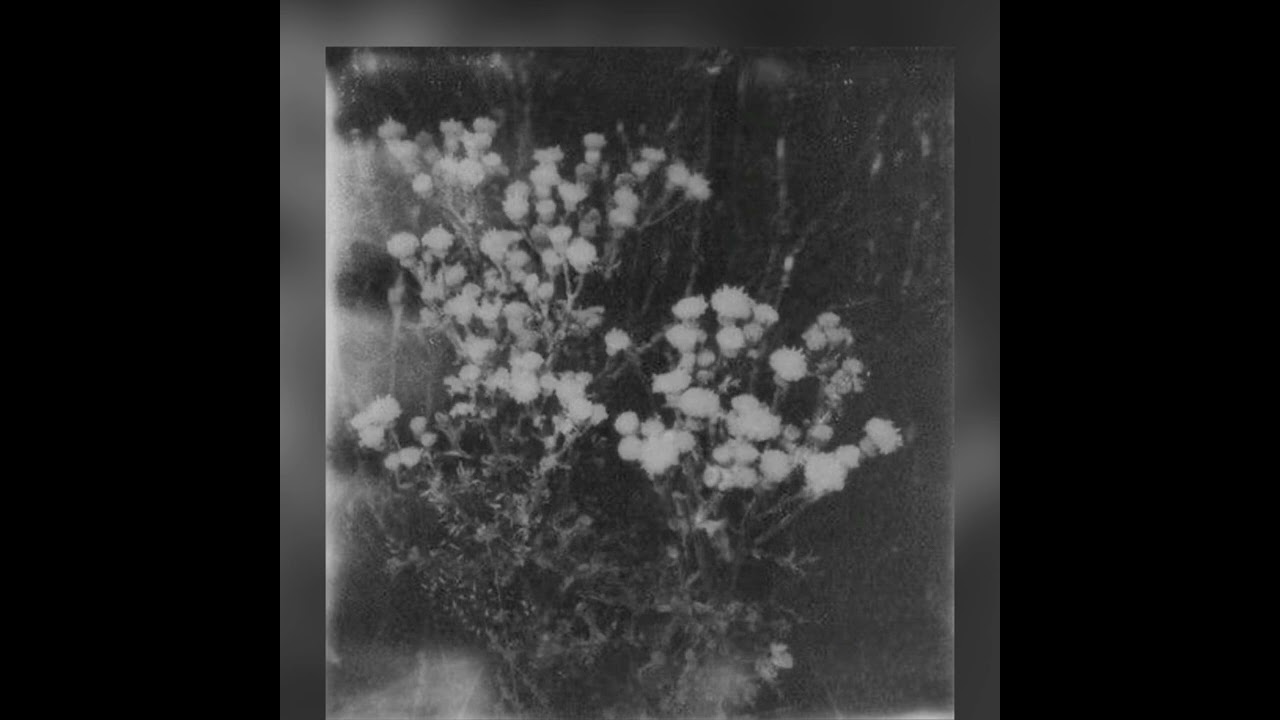 ultraviolence (slowed + reverb) lana del rey