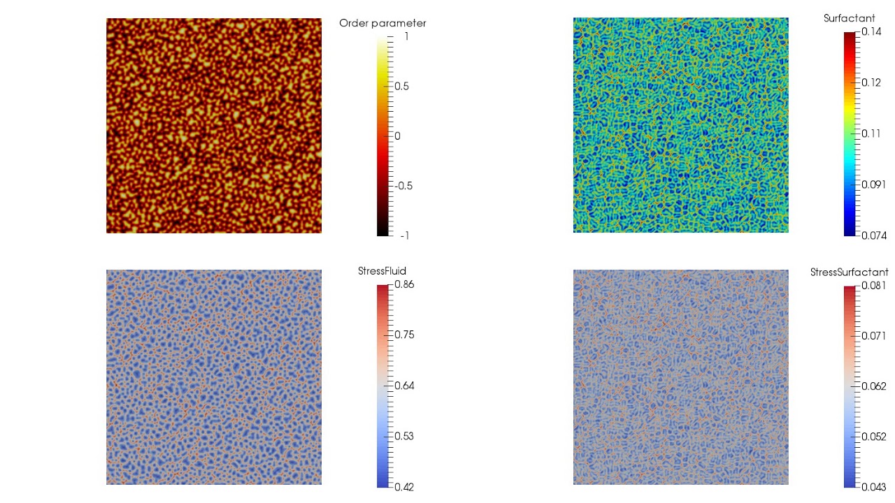 Stability of a micro-emulsion by lattice Boltzmann method