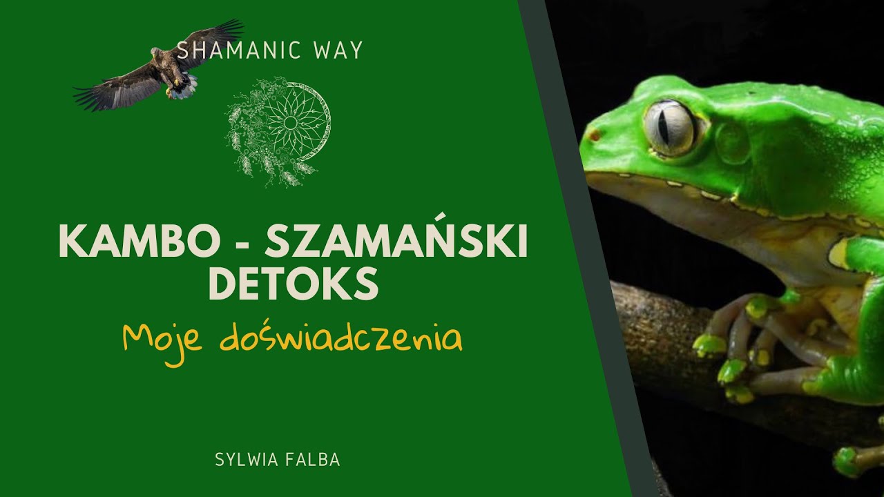 Kambo - efekty, skład, jak przebiega, moje doświadczenia