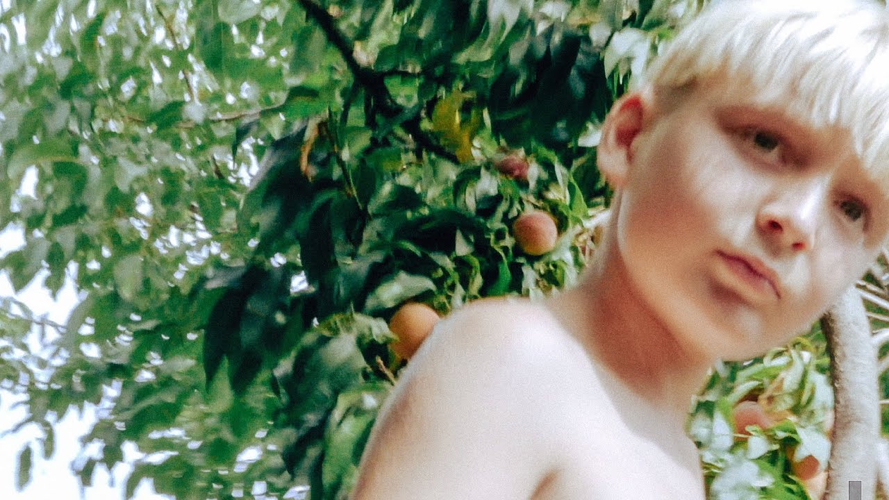 a summer in a Slovak village