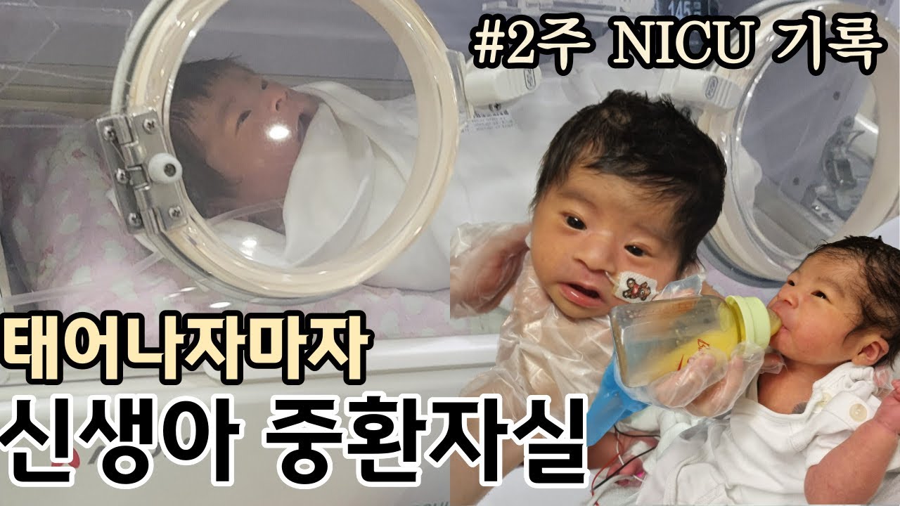 [Sub/Eng]신생아 중환자실😭NICU 입원부터 퇴원까지 2주기록📔 / 콧줄수유🤧 / 퇴원 후 부모님반응💕